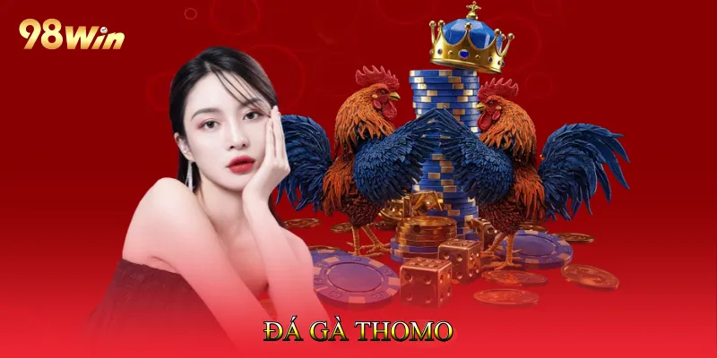 Đá Gà Thomo Tạo Cảm Giác Hồi Hộp Trong Mỗi Trận Đấu 2 Đá gà Thomo