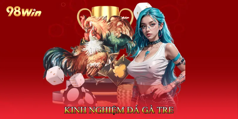Đá Gà Tre Tối Ưu Chiến Thuật, Nâng Cao Cơ Hội Thắng Lớn 4 Kinh Nghiệm Đá Gà Tre